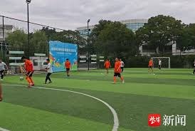 意甲联赛20252026赛季客场积分榜分析与展望